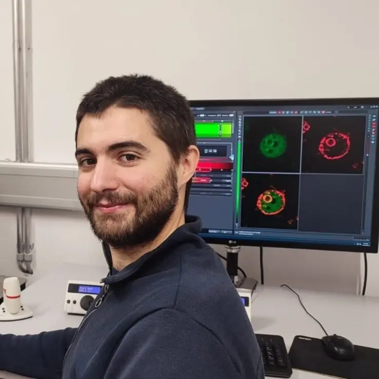 Andrea Belluati - Applyindex