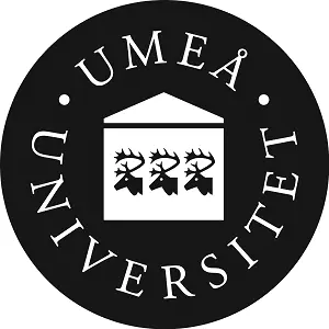 university