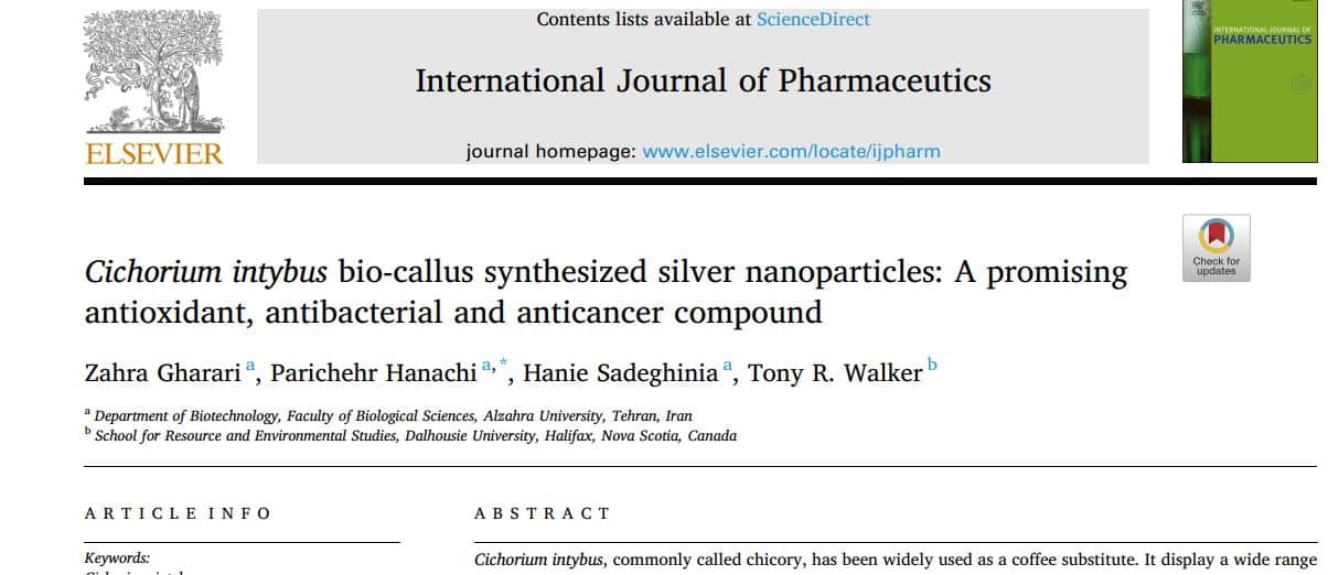 Cichorium intybus bio-callus synthesized silver nanoparticles: A promising antioxidant, antibacterial and anticancer compound