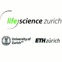 university