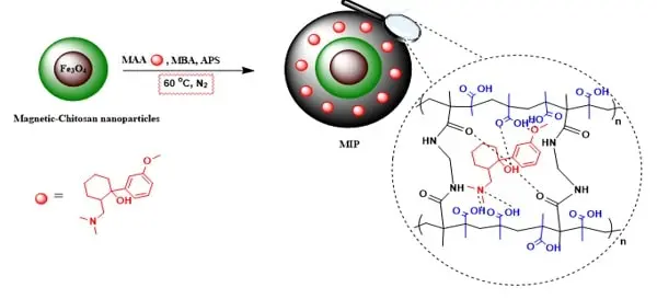 Tramadol imprinted magnetic chitosan/polymethacrylic acid as an efficient safe Controlled release carrier
