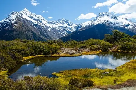 a-index University Rankings - New Zealand