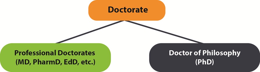 PhD vs Doctorate | Applyindex
