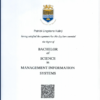 School of Computing & Information Systems