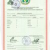 Institute of Geology