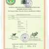 Institute of Geology