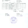 Institute of Geology