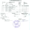Institute of Geology