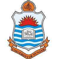 university